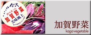 vegetable