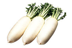 vegetable02