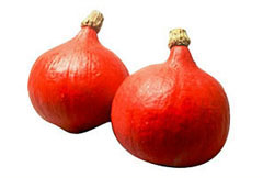 vegetable01