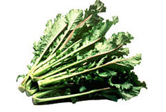 vegetable04