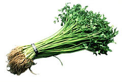 vegetable03