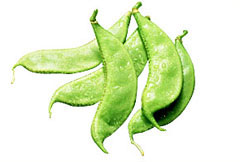 vegetable05